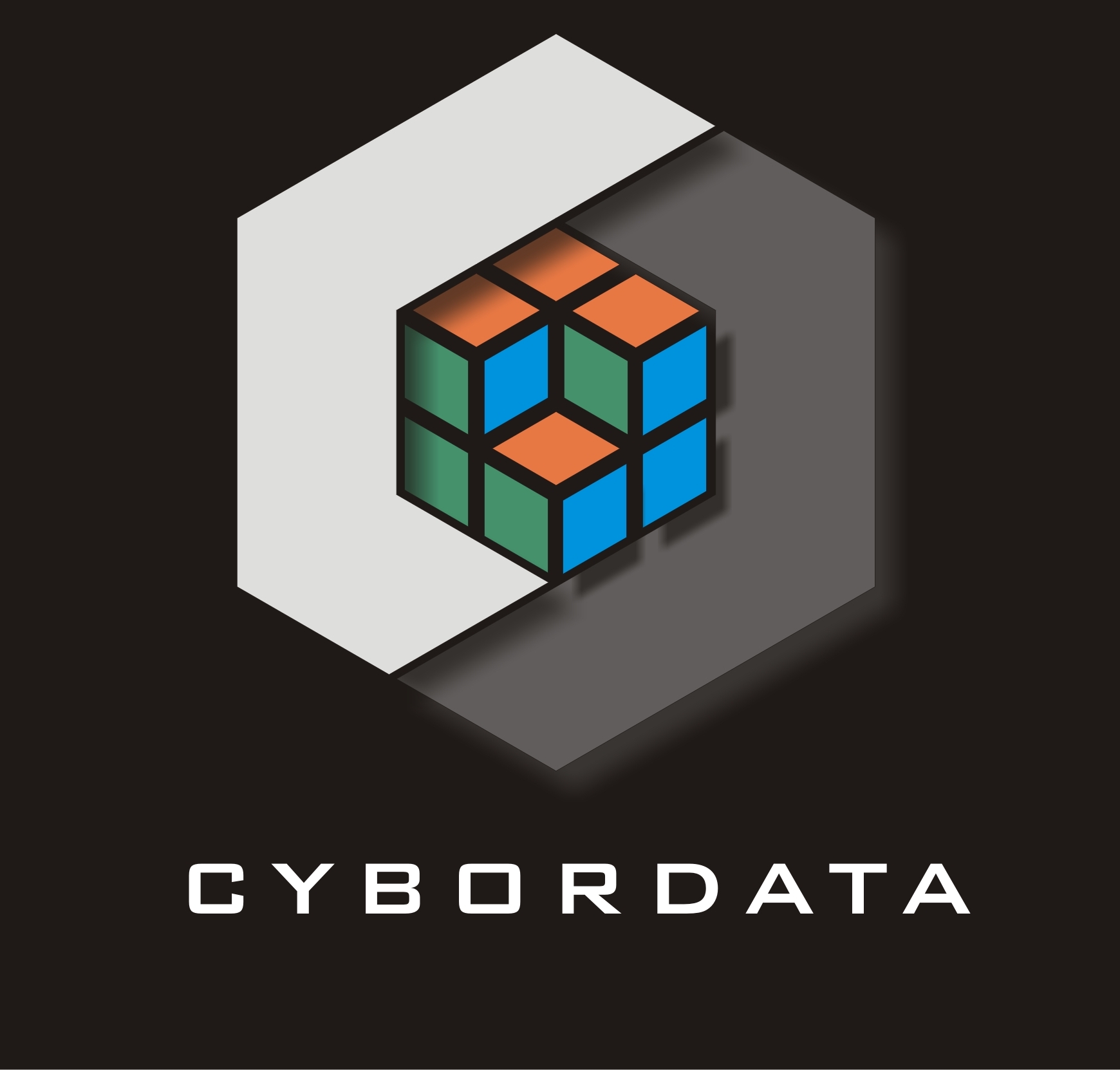 Logo oficial de Cybordata